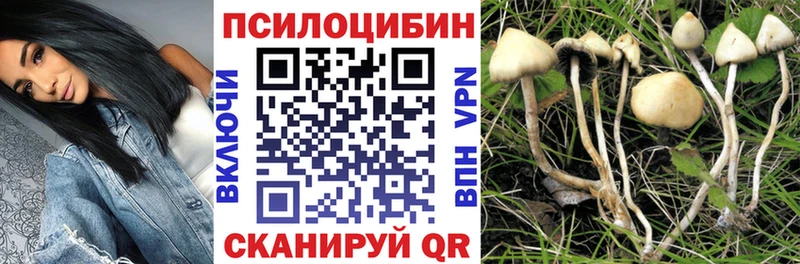 Псилоцибиновые грибы Magic Shrooms Кызыл